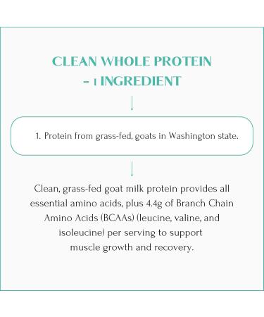 Mt. Capra Clean Whole Protein | Grass-Fed Goat Protein with Whey and Casein Protein | No Bloat, Build and Maintain Muscle, 20 g Protein per Serving, No Sweeteners | 13 Servings - 400 g - Buy Online on GoSupps.com