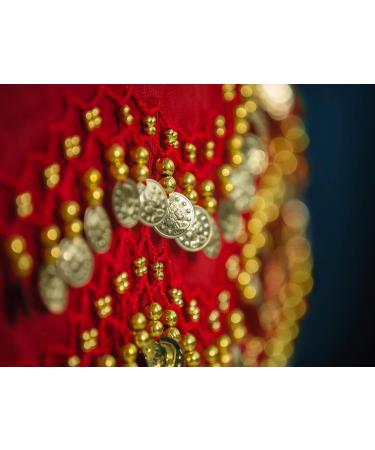 Buy Red Belly Dance Costume with Hip Scarf & Hand Chains - Perfect for Carnival & Dance Performances | International Shipping - Buy Online on GoSupps.com