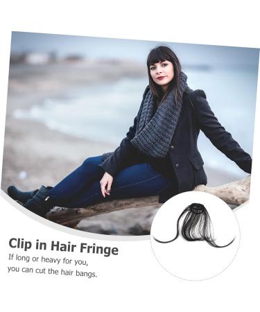MAGICLULU Piece Womens Hair Clips Ladies Wigs Black Hair Clips French Barrette Bangs Hair Clip Thick Braided Hair Clips Clip Bangs Clip in Fringe Clip in Bangs Real Hair Slim Curtain Miss medium Black - Buy Online on GoSupps.com