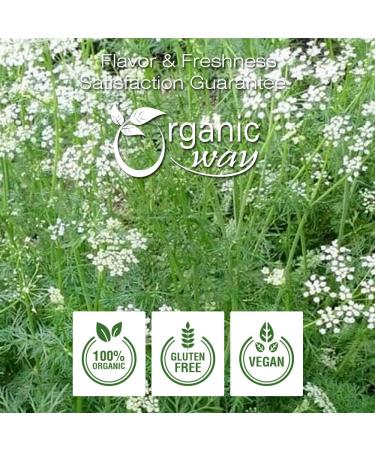 Organic Way Premium Cumin Seeds (Jeera) - 1lb Pack, USDA Certified, Raw, Vegan, Non-GMO, Gluten-Free | Adds Flavour & Aroma, Origin India - Buy Online on GoSupps.com