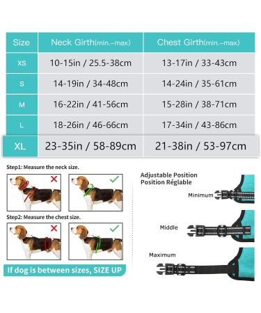 Premium Heele Dog Crockery & No-Pull Harness - Adjustable Reflective & Breathable for Medium Dogs - Turquoise XL - Buy Online on GoSupps.com