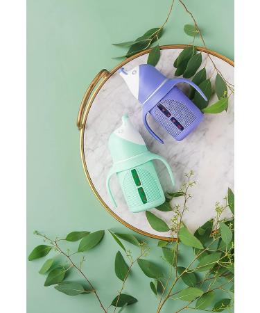 Glass Sippy Cup Set for Toddlers - 5oz - Spill-Proof Silicone Straw - Mint Green & Indigo Purple - BPA-Free - Buy Online on GoSupps.com