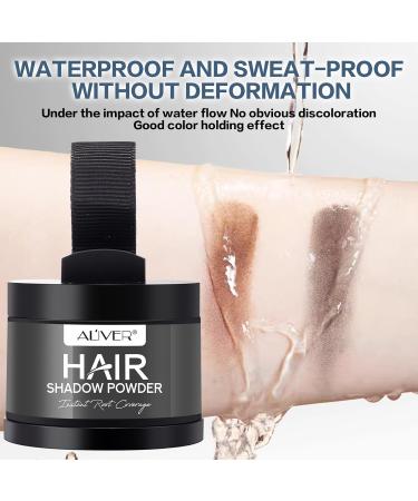 Approach Powder for Men & Women - Dark Gray Hair Sealing Base Powder with Mirror Sponge | Hair Attachment & Shading Concealer for Thin Hair - Buy Online on GoSupps.com