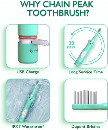 Kids Sonic Electric Toothbrush | Rechargeable Bear Toothbrush for Boys Girls Age 3-12 | 30s Reminder, 2 Min Timer, 5 Modes | 8 Brush Heads | Green - Buy Online on GoSupps.com