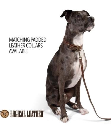 Logical Leather 4 Ft Dog Training Leash - Heavy Full Grain Brown Leather Lead - Buy Online on GoSupps.com