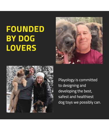 Playology Dental Stick - Natural Fragrance & Peanut Butter - Size L (15.9 kg+) - Best for Large Dogs - International Shipping Available - Buy Online on GoSupps.com