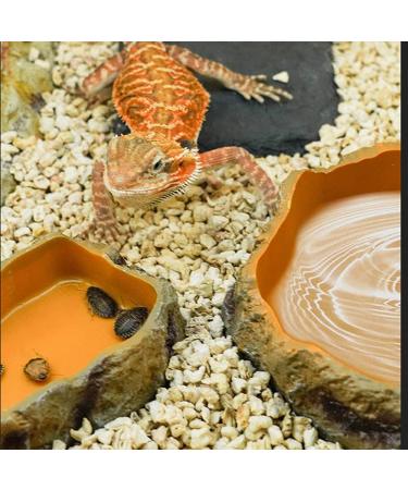 Medium Resin Rock Water Bowl for Reptiles | Terrarium Tank Food Bowl for Lizards, Snakes, Frogs, and More - Buy Online on GoSupps.com