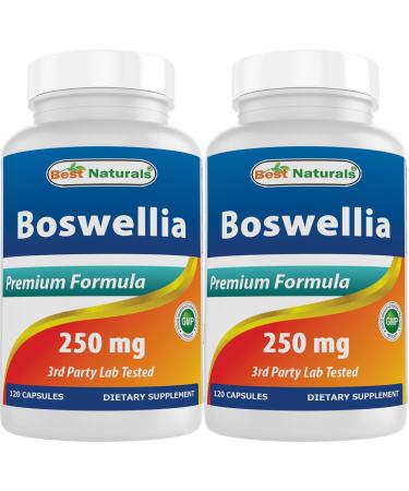 Best Naturals Boswellia Serrata Joint Health 250 mg 120 Capsules - Standardized to 65% Boswellic Acid (120 Count (Pack of 2))