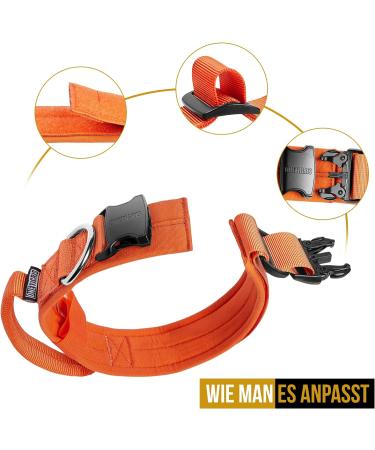 OneTigris Dog Collar with Metal Buckle - Durable L Orange Collar for Dogs | International Shipping - Buy Online on GoSupps.com