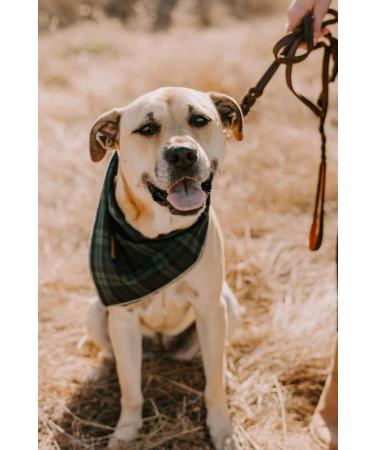 Unique Style Paws Washable Cotton Dog Neck Triangle - Green Plaid - Ideal for Small & Large Dogs & Cats - 1 Pack - Buy Online on GoSupps.com