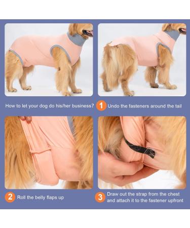 Avont Dog Body Suit - Post-Op Wound Protection for Neutered Males & Female Dogs | Postoperative Recovery Clothing in Pink (4XL) - Buy Online on GoSupps.com