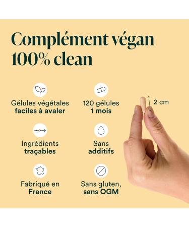 NOVOMA Multivitamins and Minerals 29 Vitamins & Minerals A B C D3 E K2 + Magnesium & Zinc 120 Capsules Immunity Dietary Supplement for Women and Men Made in France - Buy Online on GoSupps.com