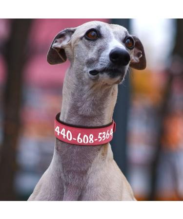 Personalized PU Leather Dog Collar for Big Dogs | Soft Thick Padded | Custom Name for Rottweiler & Mastiff | Red XL (Neck 48-58cm Width 5cm) - Buy Online on GoSupps.com