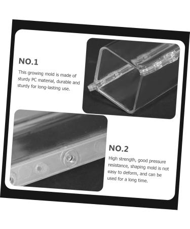 BESPORTBLE 2pcs Vegetable Shaping Cucumbers Cucumber Square Cucumber Snake Melon Watermelon - Buy Online on GoSupps.com