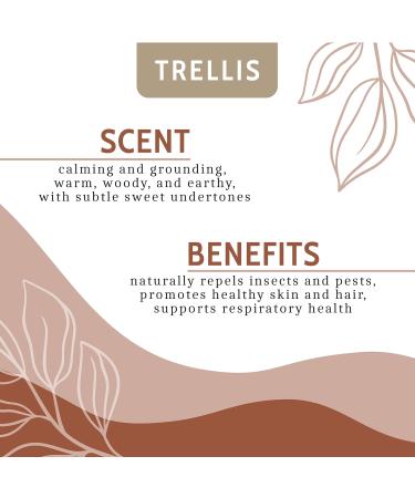 Trellis Cedarwood Essential Oil 10ml - 100% Pure Aromatherapy Oil for Home Diffusers - Natural, Vegan, Cruelty-Free - Ethically Sourced in USA, Bottled in UK - Buy Online on GoSupps.com