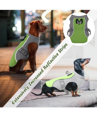 Kuoser Cooling Vest for Dogs - Breathable & Reflective Safety Jacket for Hot Summer Days | Ideal for Small & Medium Dogs - Perfect for Outdoor Activities & Training - Buy Online on GoSupps.com