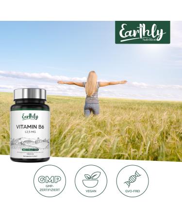 Buy Vitamin B6 12.5 mg - 365 Vegan Tablets for Healthy Metabolism & Immune Support | Earthly Nutrition - Buy Online on GoSupps.com
