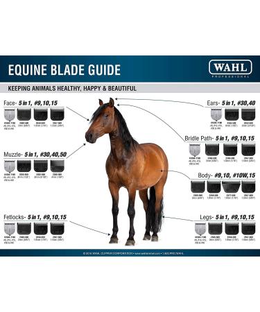 Wahl Professional Animal KM Cordless 2-Speed Clipper Kit for Pet, Dog, and Horse - Poppy - Buy Online on GoSupps.com
