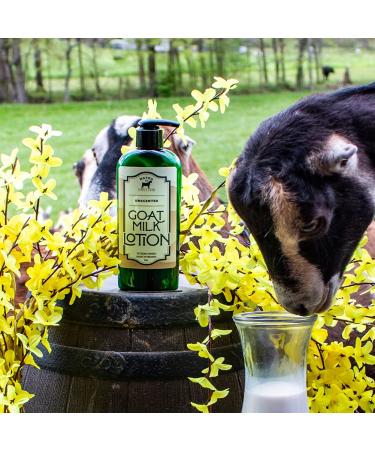 Bates Family Farm Goat Milk and Shea Butter Lotion 8 Oz (Unscented) - Buy Online on GoSupps.com