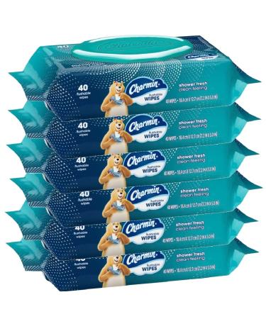 Charmin Freshmates Flushable Wipes with Refillable Tub (Pack of 6) 40 Count (Pack of 6)