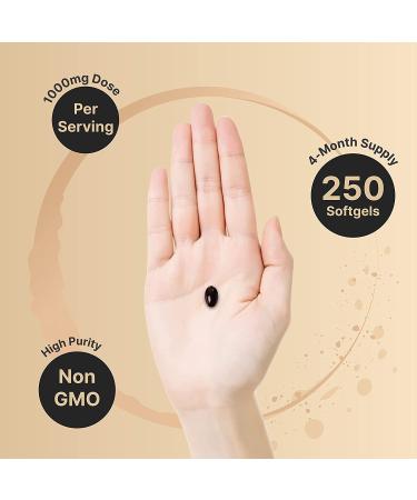 Premium Cold-Pressed Black Seed Oil Capsules 1000mg - 250 Softgels | Immune System Booster, Non-GMO | Nigella Sativa Extract for Health & Wellness - Buy Online on GoSupps.com