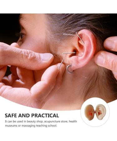Silicone Ear Models - Practice Acupuncture and Medical Training - Buy Online on GoSupps.com