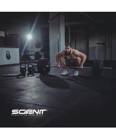 Whey Protein - Best Whey Protein - Bodybuilding Proteins - Whey Protein Isolate Whey Protein Isolate Whey Protein and Concentrate - Whey Isolate and Concentrate - 907g (Cream Cooked) - Buy Online on GoSupps.com