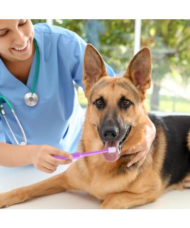 2-Piece 360 Soft Silicone Pet Toothbrush Set for Dogs & Cats | Ultimate Dental Care & Oral Hygiene Kit - Buy Online on GoSupps.com