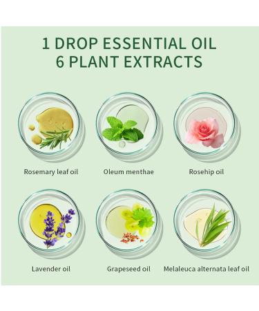 Jamaican Black Castor Oil - 2 Pcs Organic Cold-Pressed Unrefined Oil for Hair Growth Eyelashes Skin & Nail Care | International Shipping Available - Buy Online on GoSupps.com