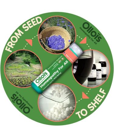 OLLOIS Essential Kit 10 Organic Lactose-Free Vegan Homeopathic Remedies - Buy Online on GoSupps.com