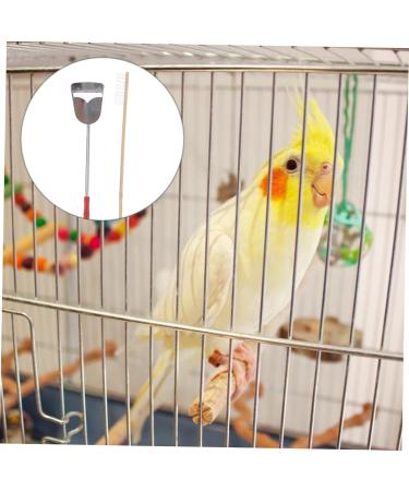DOITOOL 2pcs Set Birdcage Brush Scoop Shovel Parrot Cage Accessory Parrot Cage Shovel Pet 7x9cm Assorted Color - Buy Online on GoSupps.com