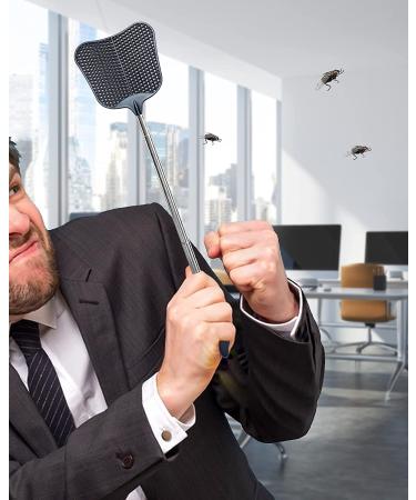 CUNCUI Heavy Duty Fly Swatters Set - Telescopic Stainless Steel Handles (2Pcs, 2 Colors) for Home, Classroom, Office - Buy Online on GoSupps.com