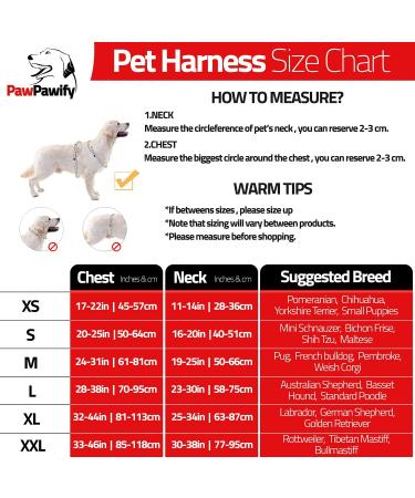 Personalized Pawpawify Dog Harness for XL Dogs - Prevent Pulling & Choking | Durable Adjustable & Ideal for Training & Walking (32-44in Red) - Buy Online on GoSupps.com