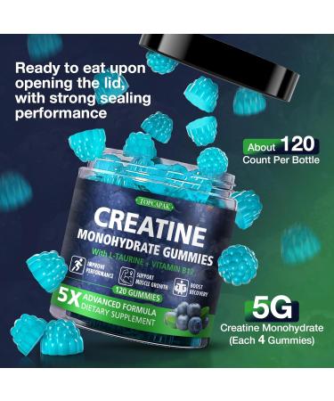 Creatine Monohydrate Gummies for Men & Women - Blueberry Flavor Raspberry-Shaped - Chewable Creatine Gummy with Taurine & Vitamin B12 5g Creatine per Serving 120 Gummies Blueberry 120 Count (Pack of 1) - Buy Online on GoSupps.com
