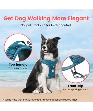 Pawaii XS Dog Harness for Small Dogs - Breathable No-Pull Chest Harness with Handle - Teal Green - Ideal for Anti-Drawing & Comfortable Fit - Buy Online on GoSupps.com