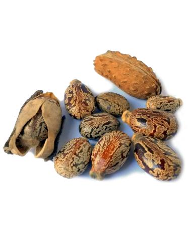 HalalEveryDay Jamaican Black Castor Oil 4 oz. | 100% Pure Natural Cold Pressed Unrefined Non-GMO Vegan | For Hair Skin Body Eyebrows Eyelash & More - Buy Online on GoSupps.com