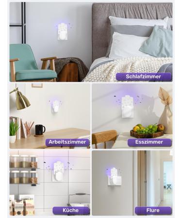 YISSVIC Electric Fruit Fly Trap with UV Light & 5 Stickers - Effective Kitchen & Interior Solution - Buy Online on GoSupps.com