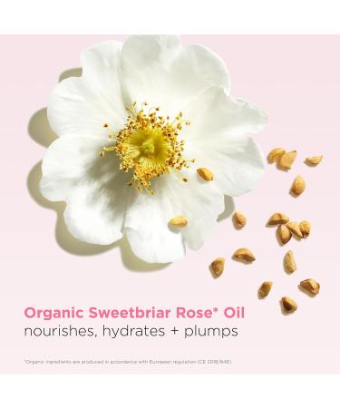 Clarins NEW Lip Oil Balm - Nourishing Hydration Plumping Shine | 99% Skincare Formula | 96% Natural Ingredients | 0.1 Ounce 01 - Pale Pink - Buy Online on GoSupps.com