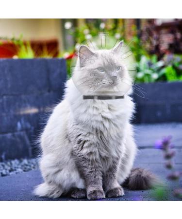 Clarful Breathable Cat Muzzle - Transparent Adjustable Anti-Bite Hood for Fur Care & Protection - Buy Online on GoSupps.com