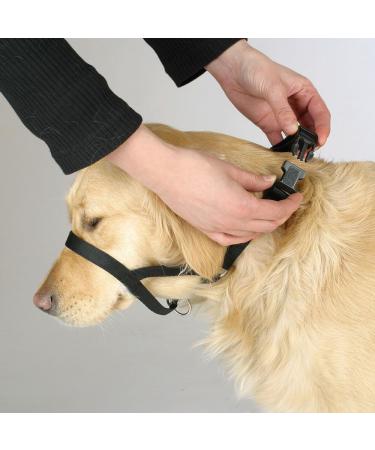 Kerbl Maxi Coach Harness Size 2 Black - Buy Online on GoSupps.com