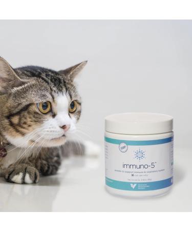 Immuno-5 Immune & Respiratory Support Powder for Cats from Veterinarian Recommended Solutions with L-Lysine Omega-3 & Egg Yolk - Buy Online on GoSupps.com