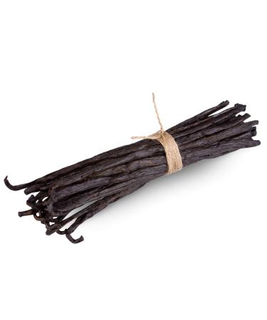 Madagascar Vanilla Beans - Gourmet Bourbon Grade A. Great for baking, making pure vanilla extract, vanilla paste (10 Beans) 10 Count (Pack of 1)