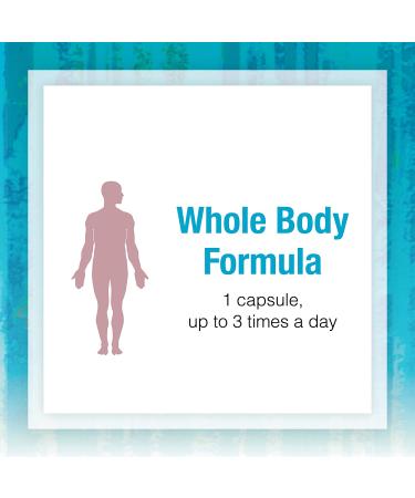 Natural Factors Ultimate Probiotic for Seniors - 35 Billion CFU, 30 Vegetarian Capsules - Buy Online on GoSupps.com