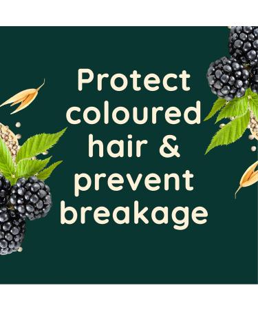 Aveeno Colour Protect Blackberry & Quinoa Scalp Soothing Conditioner 300ml - Buy Online on GoSupps.com