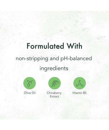 Rael Oil to Foam Facial Cleanser - Gentle Daily Face Wash with Vitamin B5 for All Skin Types - Clean Ingredients - Cruelty Free - 5.07oz - Buy Online on GoSupps.com