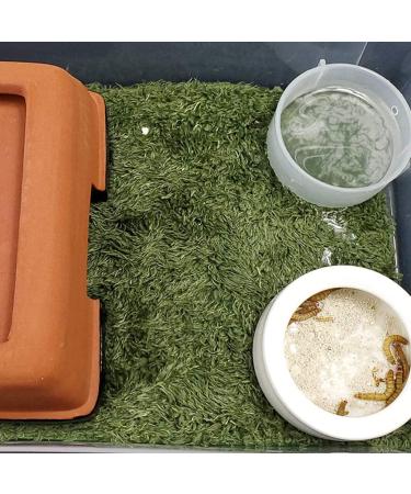 High-Quality Artificial Turf Patch & Carpet - Perfect for Pets Reptiles & Aquariums | 2-Piece Green Mat Set - Buy Online on GoSupps.com