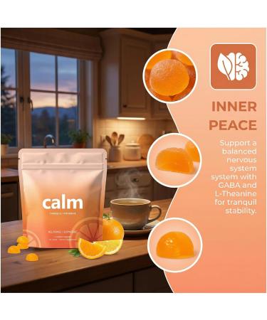 Feel Calming Gummies Tranquil Tangerine Calm & Stress Relief with L-Theanine Lemon Balm & Chamomile Natural Botanical Blend for Daily Relaxation Support 60 Gummies - Buy Online on GoSupps.com