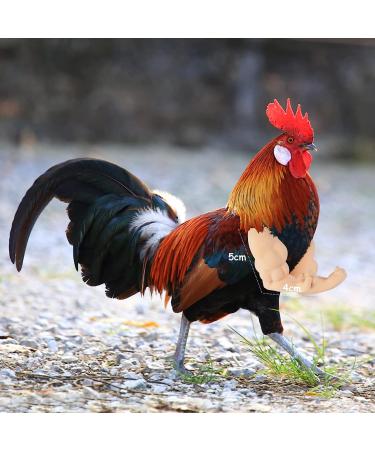 FUAMEY Muscle Chicken Arms Toys for Chickens to Wear  Funny Costume Fist Fighting Arms Toy for Pet Prank Themed Party  Artificial Arms Decorations Costume Cosplay for Chickens Rooster Hens Upgraded version - Buy Online on GoSupps.com
