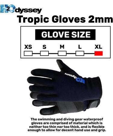 H2ODYSSEY Tropic Gloves 2mm - Thermal Dive Gear for Surfing, Diving, Swimming - Large - Buy Online on GoSupps.com