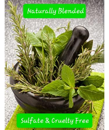 Eucalyptus Mint Hair and Body Wash - Refreshing Multi-Use Cleanser for All Skin & Hair Types - International Shipping Available - Buy Online on GoSupps.com